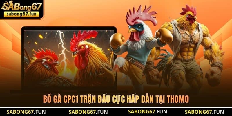 Bồ Gà CPC1 trận đấu cực hấp dẫn tại Thomo