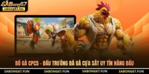 Bồ Gà CPC5 - Đấu Trường Đá Gà Cựa Sắt Uy Tín Hàng Đầu