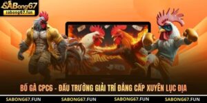 Bồ Gà CPC6 – Đấu Trường Giải Trí Đẳng Cấp Xuyên Lục Địa