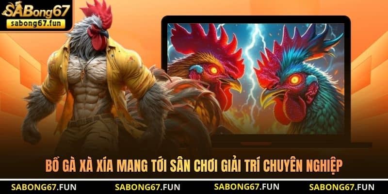 Bồ Gà Xà Xía mang tới sân chơi giải trí chuyên nghiệp