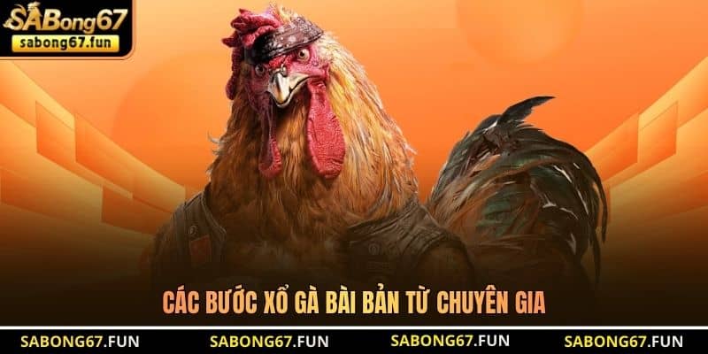 Các bước xổ gà bài bản từ chuyên gia