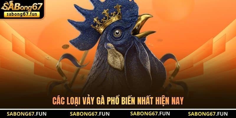 Các loại vảy gà phổ biến nhất hiện nay