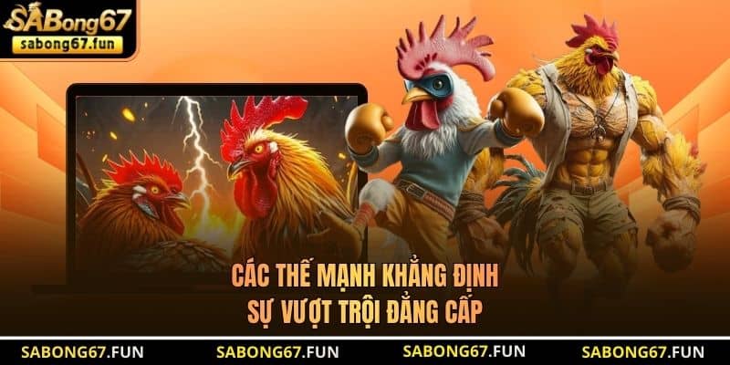 Các thế mạnh khẳng định sự vượt trội đẳng cấp Các thế mạnh khẳng định sự vượt trội đẳng cấp