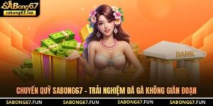 Chuyển Quỹ SABONG67 – Trải Nghiệm Đá Gà Không Gián Đoạn