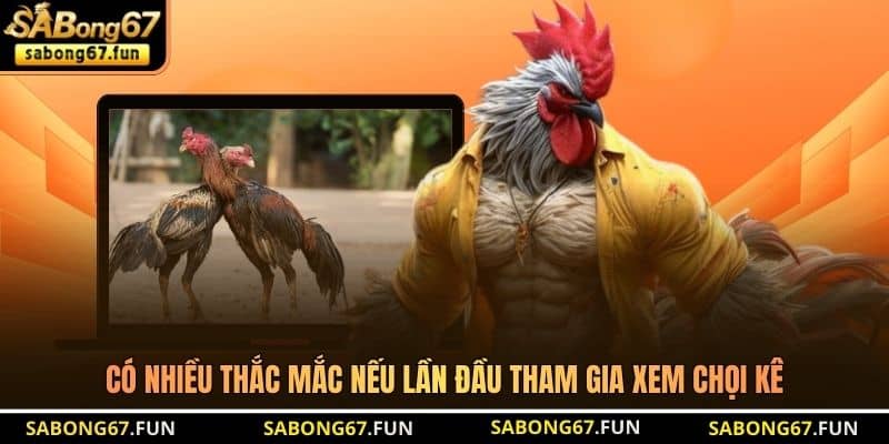 Có nhiều thắc mắc nếu lần đầu tham gia xem chọi kê
