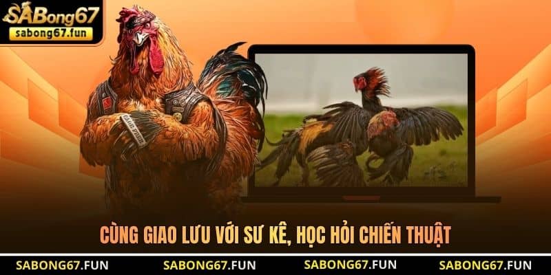 Cùng giao lưu với sư kê, học hỏi chiến thuật
