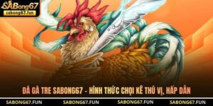 Đá Gà Tre SABONG67 - Hình Thức Chọi Kê Thú Vị, Hấp Dẫn