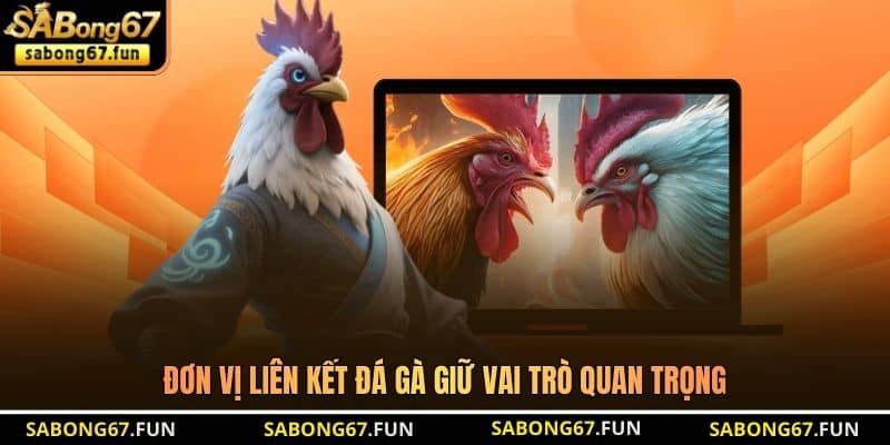 Đơn vị liên kết đá gà giữ vai trò quan trọng