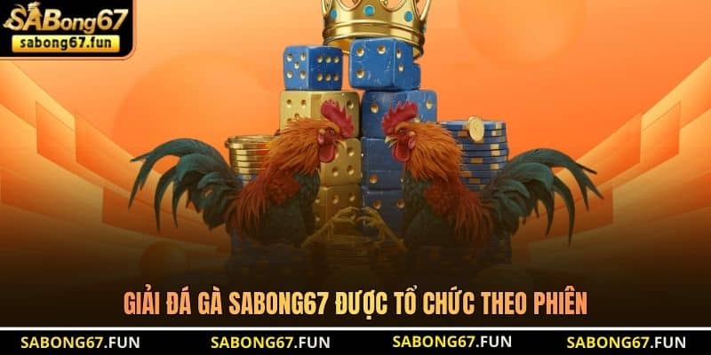 Giải đá gà SABONG67 được tổ chức theo phiên Giải đá gà SABONG67 được tổ chức theo phiên