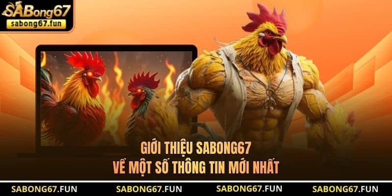 Giới thiệu SABONG67 về một số thông tin mới nhất Giới thiệu SABONG67 về một số thông tin mới nhất