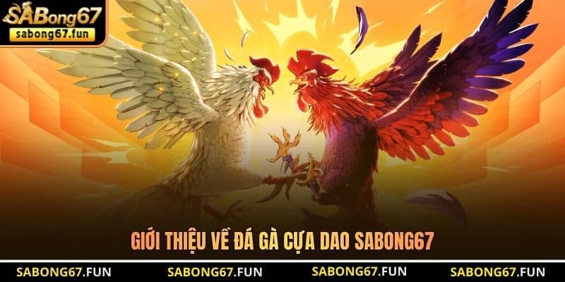 Giới thiệu về đá gà cựa dao SABONG67 Giới thiệu về đá gà cựa dao SABONG67