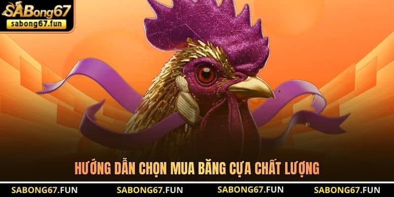 Hướng dẫn chọn mua băng cựa chất lượng