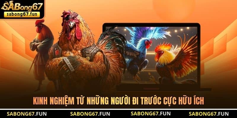 Kinh nghiệm từ những người đi trước cực hữu ích