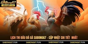 Lịch Thi Đấu Đá Gà SABONG67 - Cập Nhật Chi Tiết Nhất