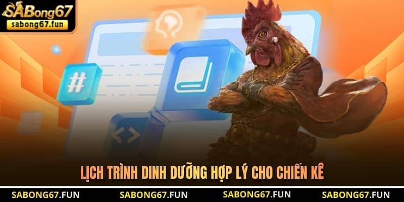 Lịch trình dinh dưỡng hợp lý cho chiến kê