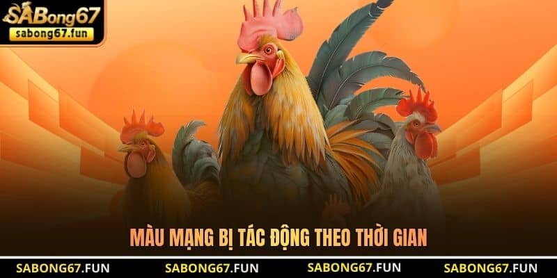 Màu mạng bị tác động theo thời gian Màu mạng bị tác động theo thời gian