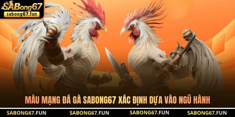 Màu mạng đá gà SABONG67 xác định dựa vào ngũ hành Màu mạng đá gà SABONG67 xác định dựa vào ngũ hành