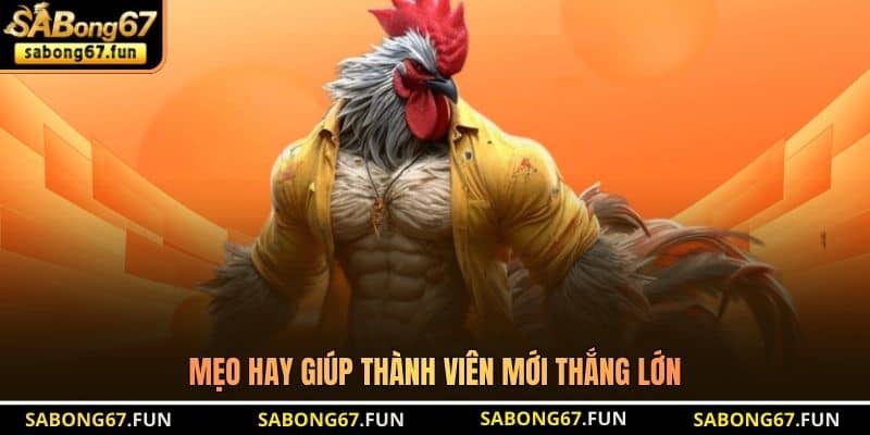 Mẹo hay giúp thành viên mới thắng lớn Mẹo hay giúp thành viên mới thắng lớn