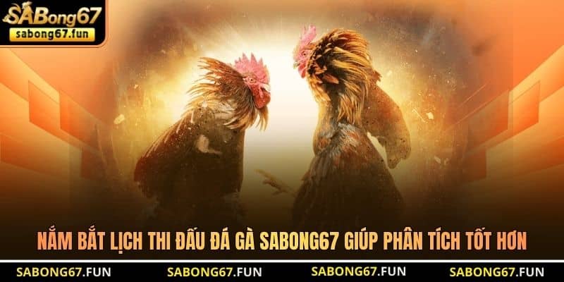 Nắm bắt lịch thi đấu đá gà SABONG67 giúp phân tích tốt hơn Nắm bắt lịch thi đấu đá gà SABONG67 giúp phân tích tốt hơn