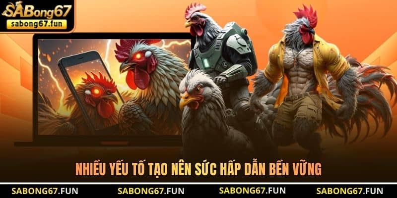 Nhiều yếu tố tạo nên sức hấp dẫn bền vững