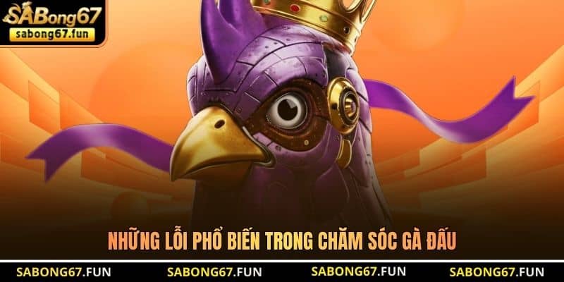 Những lỗi phổ biến trong chăm sóc gà đấu Những lỗi phổ biến trong chăm sóc gà đấu