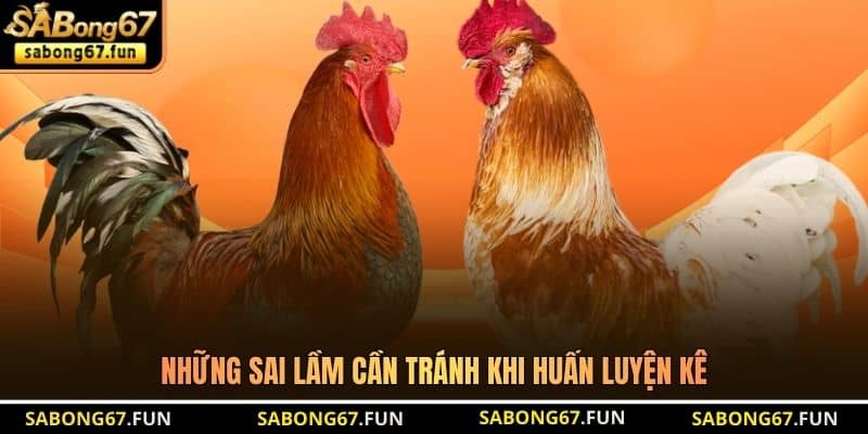 Những sai lầm cần tránh khi huấn luyện kê