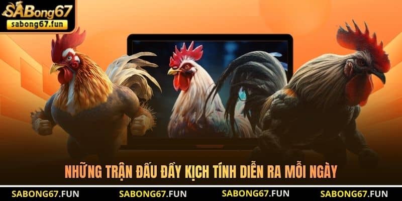 Những trận đấu đầy kịch tính diễn ra mỗi ngày