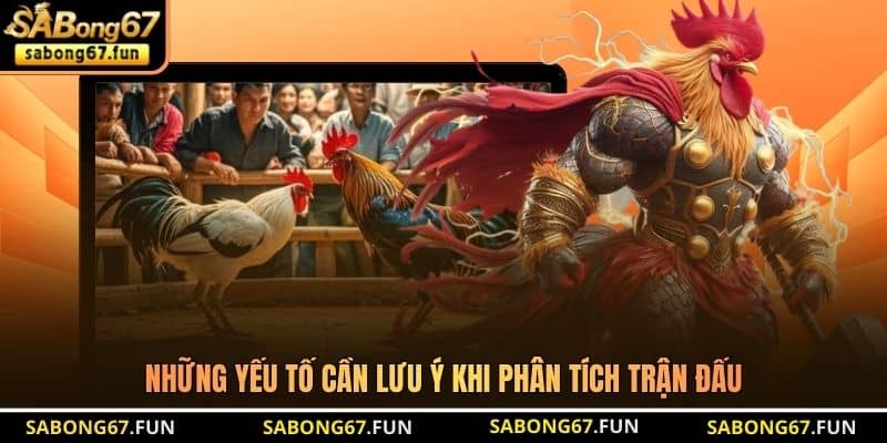 Những yếu tố cần lưu ý khi phân tích trận đấu