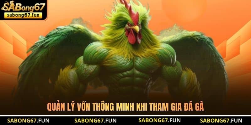 Quản lý vốn thông minh khi tham gia đá gà