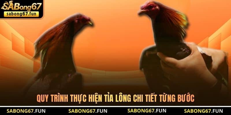 Quy trình thực hiện tỉa lông chi tiết từng bước