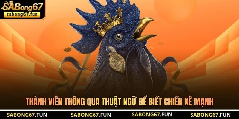 Thành viên thông qua thuật ngữ để biết chiến kê mạnh