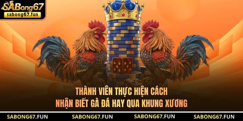Thành viên thực hiện cách nhận biết gà đá hay qua khung xương Thành viên thực hiện cách nhận biết gà đá hay qua khung xương