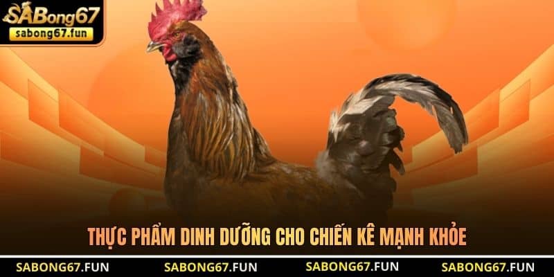 Thực phẩm dinh dưỡng cho chiến kê mạnh khỏe