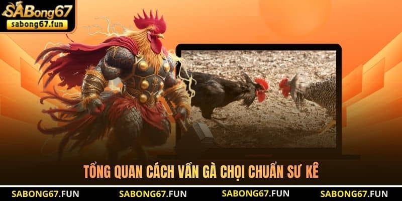 Tổng quan cách vần gà chọi chuẩn sư kê