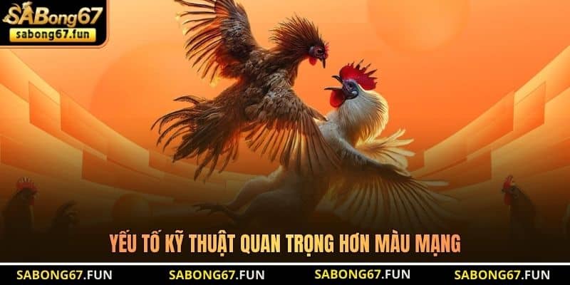 Yếu tố kỹ thuật quan trọng hơn màu mạng Yếu tố kỹ thuật quan trọng hơn màu mạng