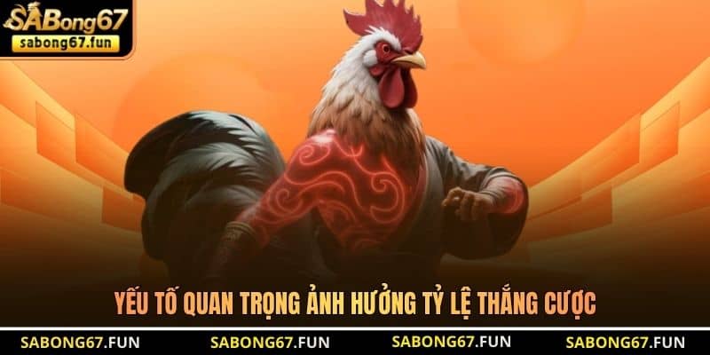 Yếu tố quan trọng ảnh hưởng tỷ lệ thắng cược Yếu tố quan trọng ảnh hưởng tỷ lệ thắng cược